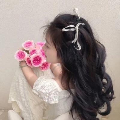 阿拉斯加日报 海报